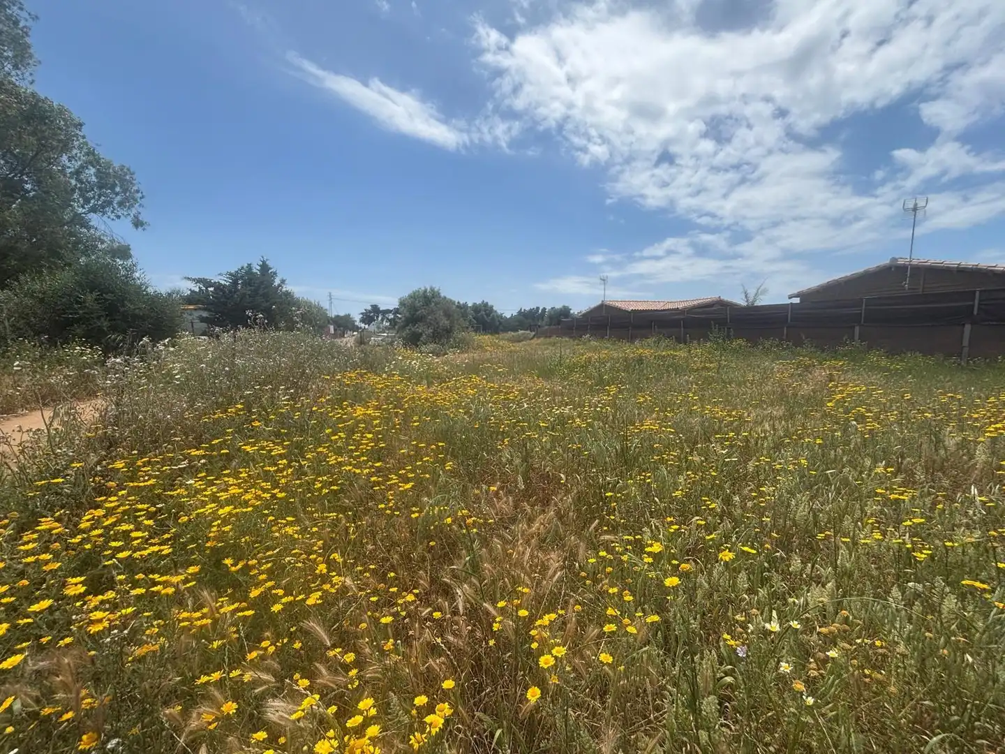 Residential for sale in Vejer de la Frontera