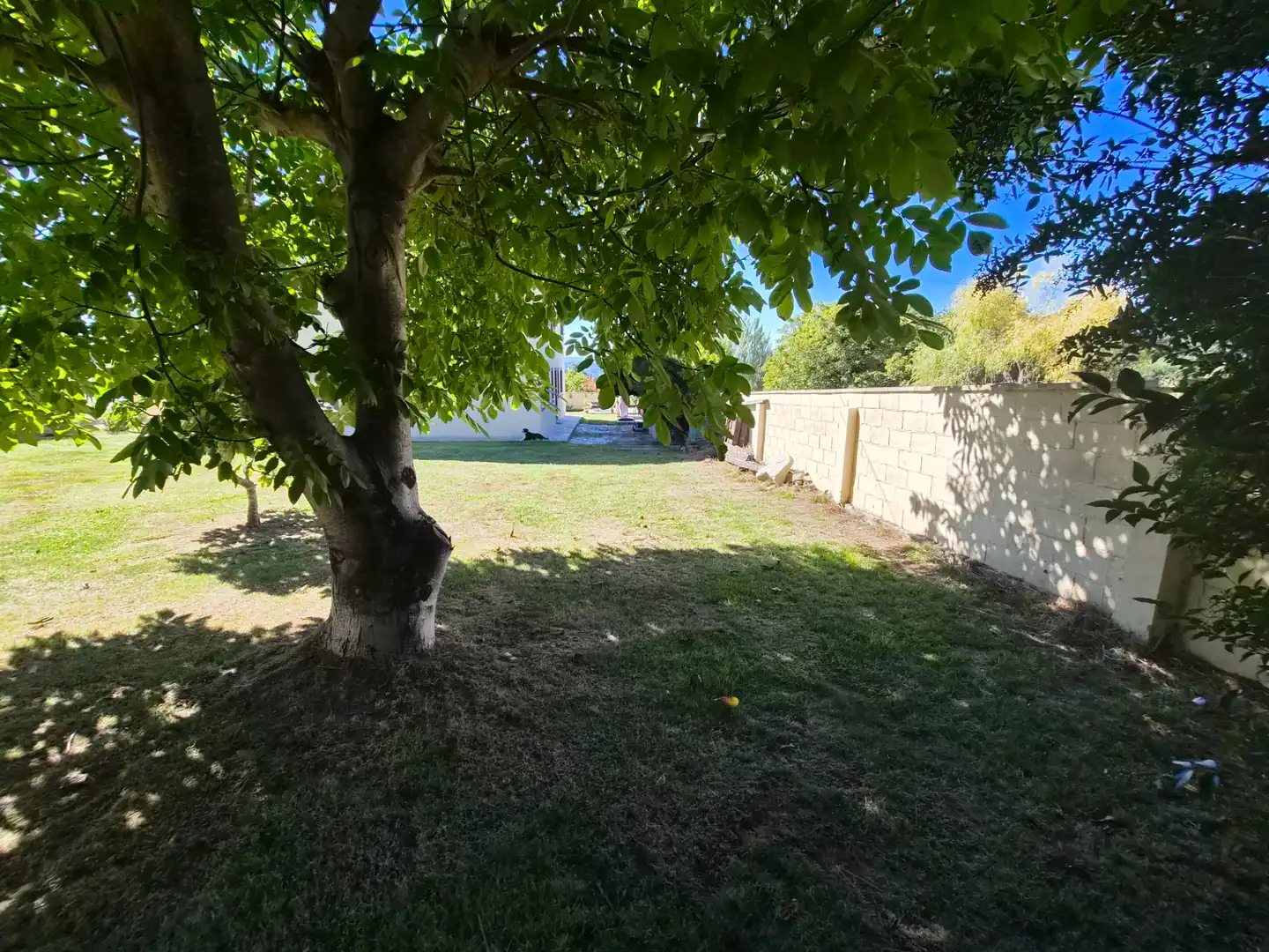 Villa con terrazza in vendita a Rúa Benito Feijóo, imagen 5