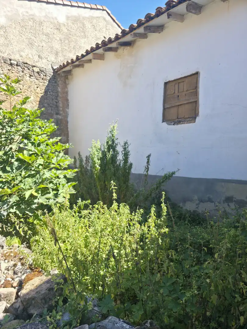 Vista exterior de Casa o chalet en venta en Salinas de Pisuerga con Trastero