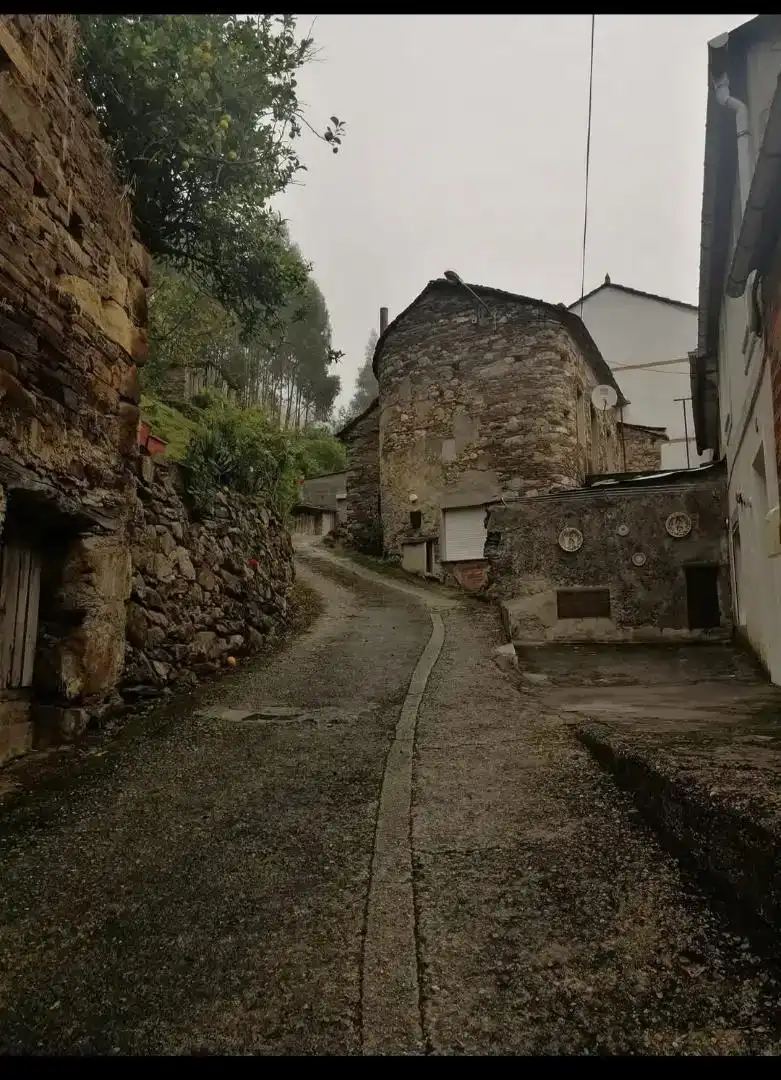Vista exterior de Casa adosada en venta en Mondoñedo