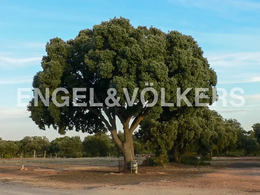 Residencial en venta en Alhambra