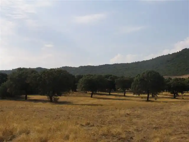 Grundstücke zum Verkauf in Baterno