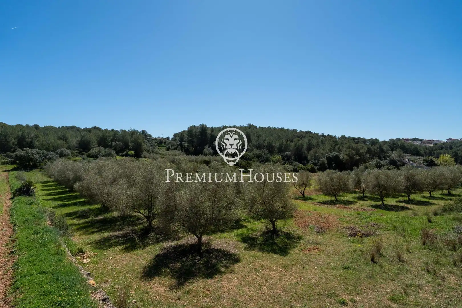 Casa rústica con jardín en venta en Nord, imagen 8