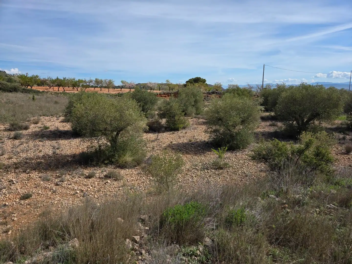 Residential land for sale in Yecla, imagen 6
