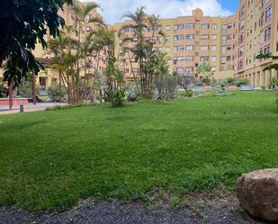 Jardí de Traster de lloguer en Las Palmas de Gran Canaria