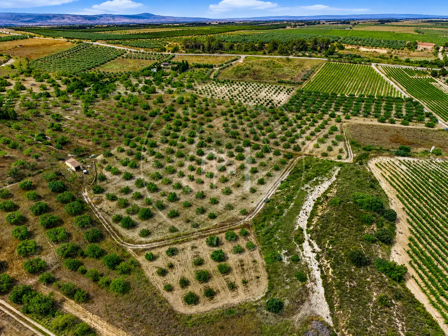 Land for sale in La Secuita