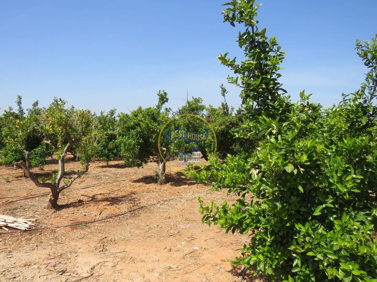 Terreno residencial en venta en Montesa, imagen 8
