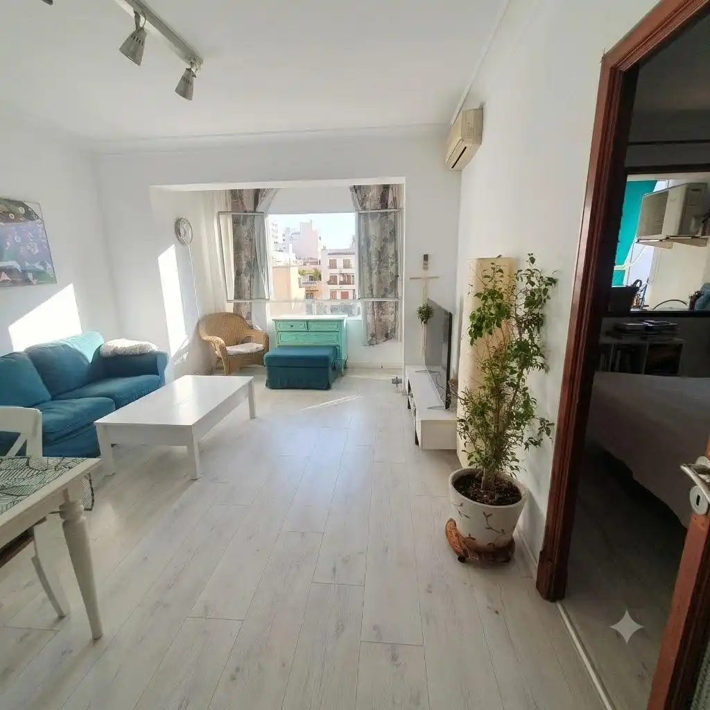 Sala d'estar de Pis en venda en  Palma de Mallorca amb Aire condicionat, Parquet i Terrassa