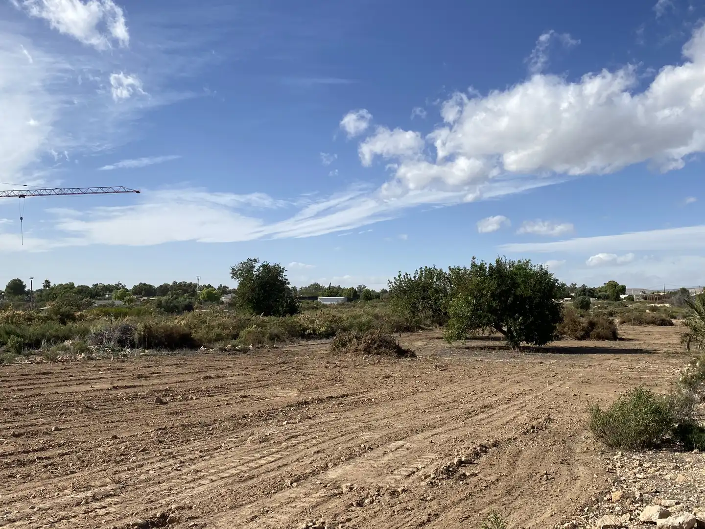 Land for sale in Elche / Elx