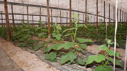 Foto 3 de Finca rústica en venda a Los Tablones, Los Tablones - La Garnatilla, Motril