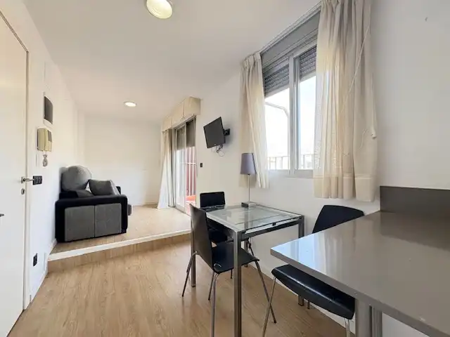 Living room of Attic for rent in Castellón de la Plana / Castelló de la Plana  with Parquet flooring, Terrace and Furnished