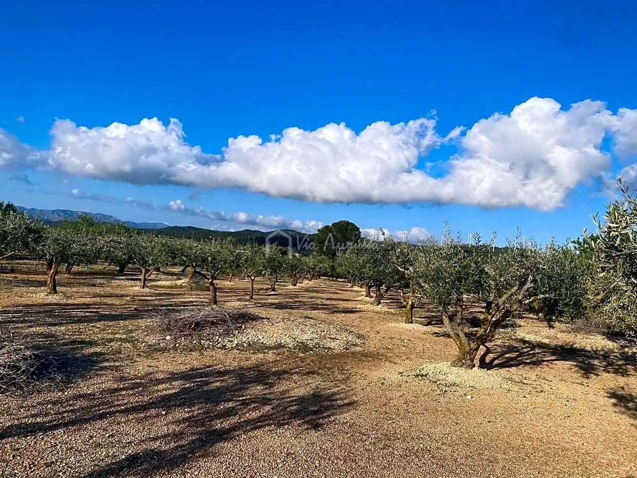 Terreno rustico in vendita a Burgà, imagen 24