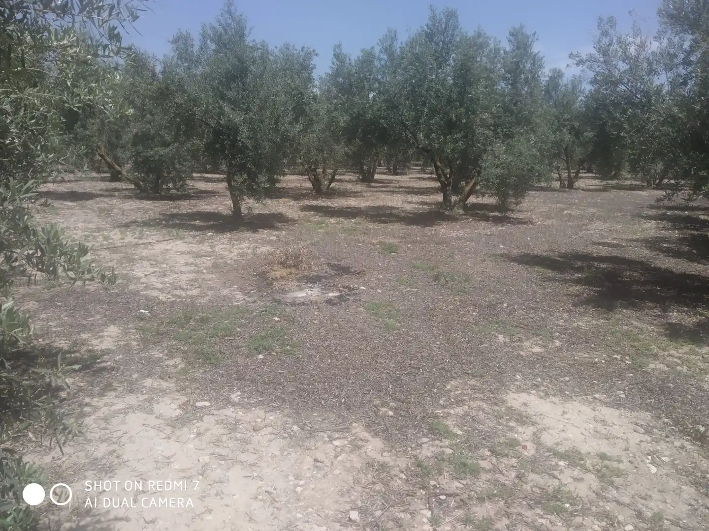 Chalet en venta en Lugar Cortijo Salomon, imagen 14
