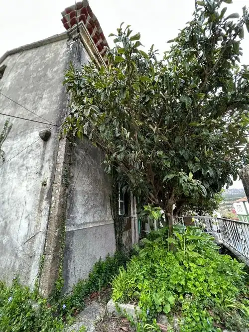 Vista exterior de Casa o xalet en venda en Porto do Son