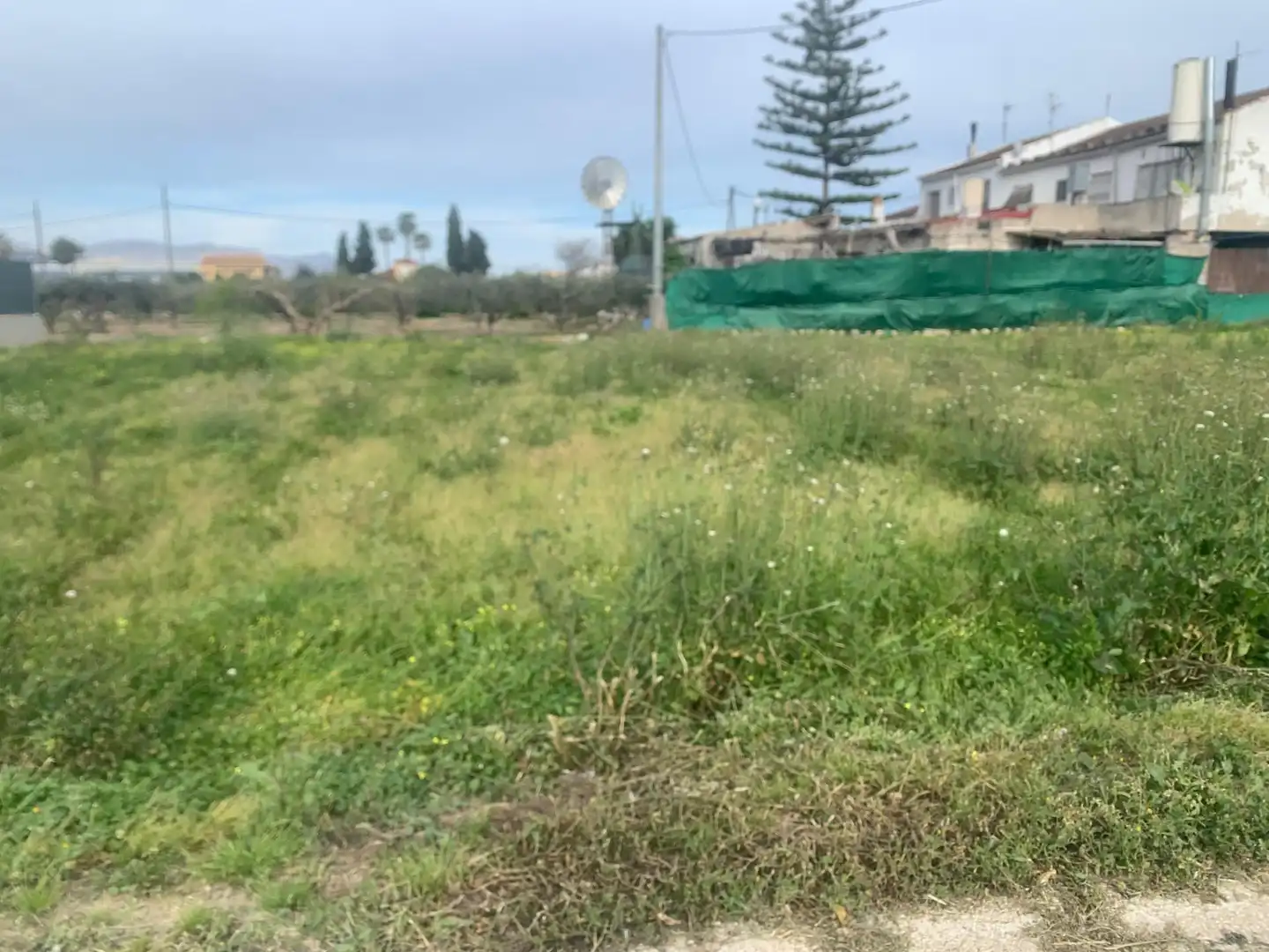 Terrenys i solars en venda a Pedanías Este, imagen 5