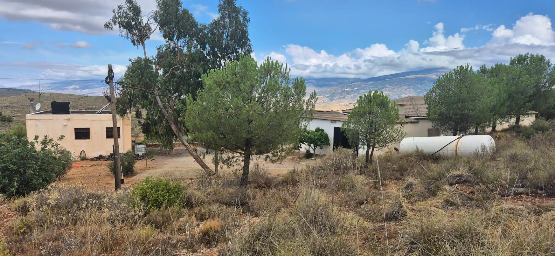 Terrain rustique à vendre à Alcolea, imagen 32