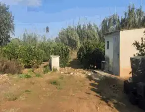 Terreno en venta en El Genovés
