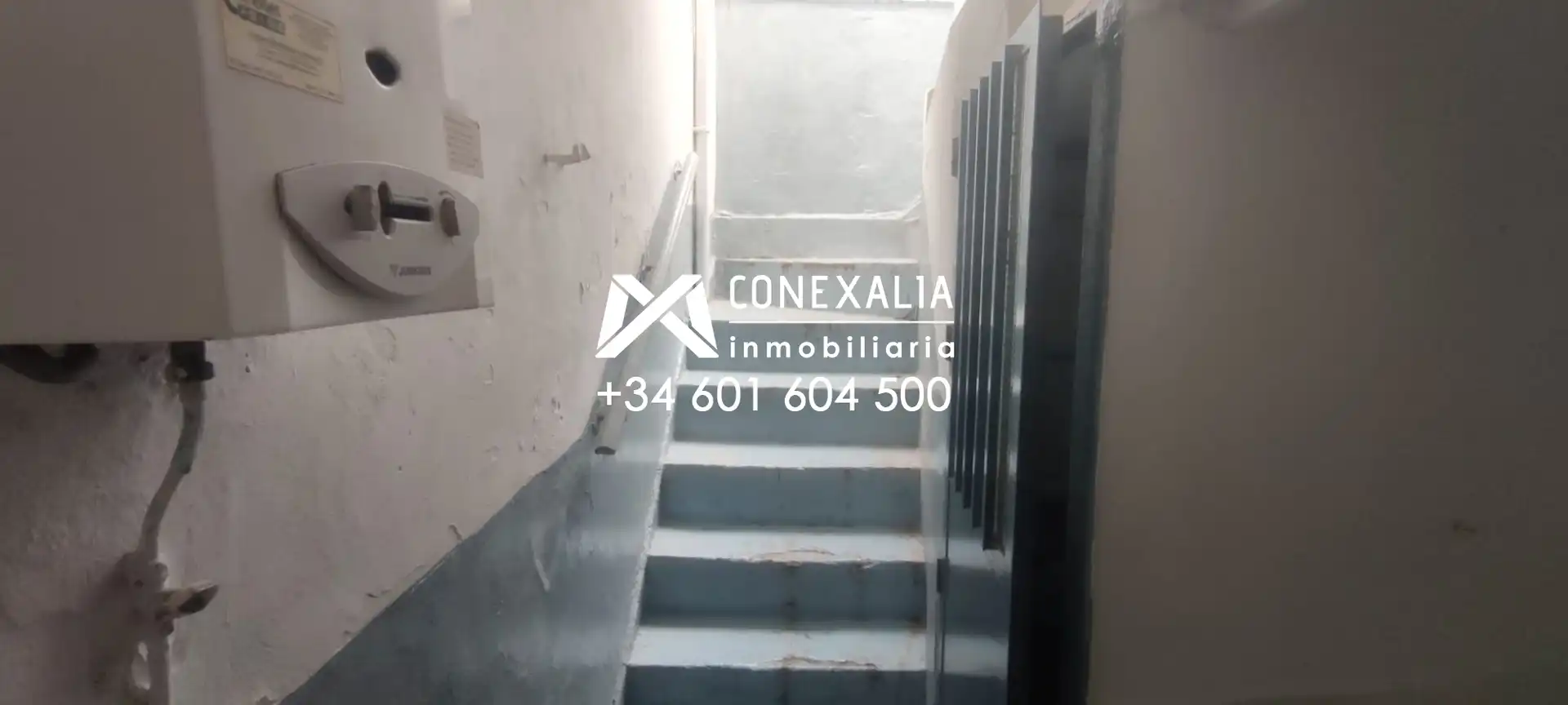 Business premises for sale in Olvera, imagen 21