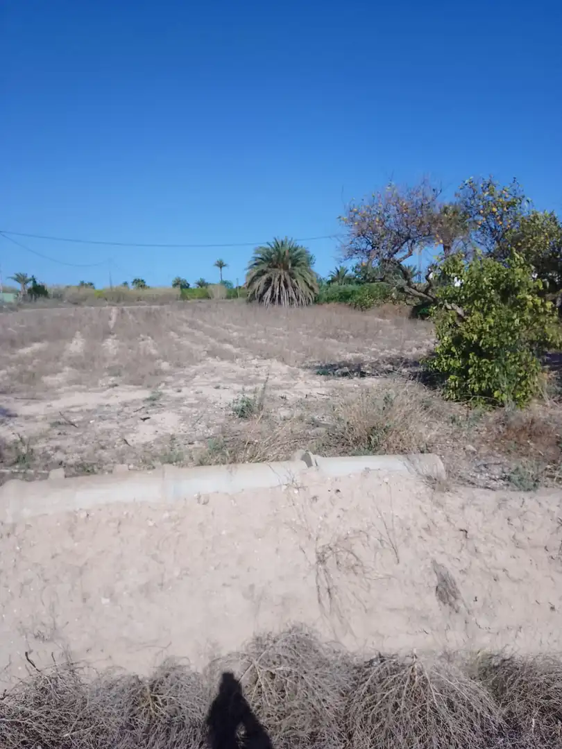 Terreny rústic en venda a Alzabares, imagen 6