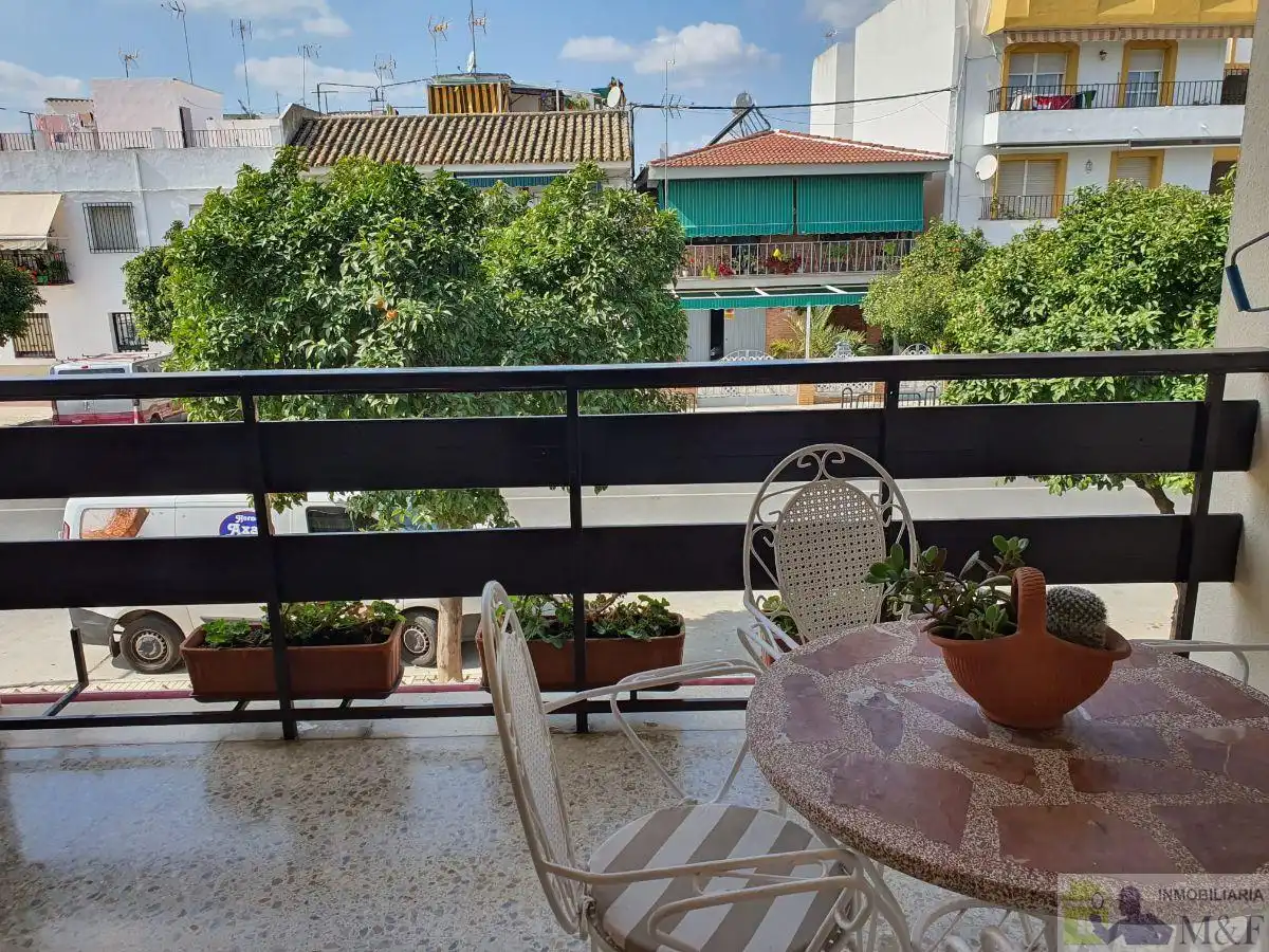 Vista exterior de Casa o chalet en venta en Palma del Río con Aire acondicionado, Calefacción y Trastero