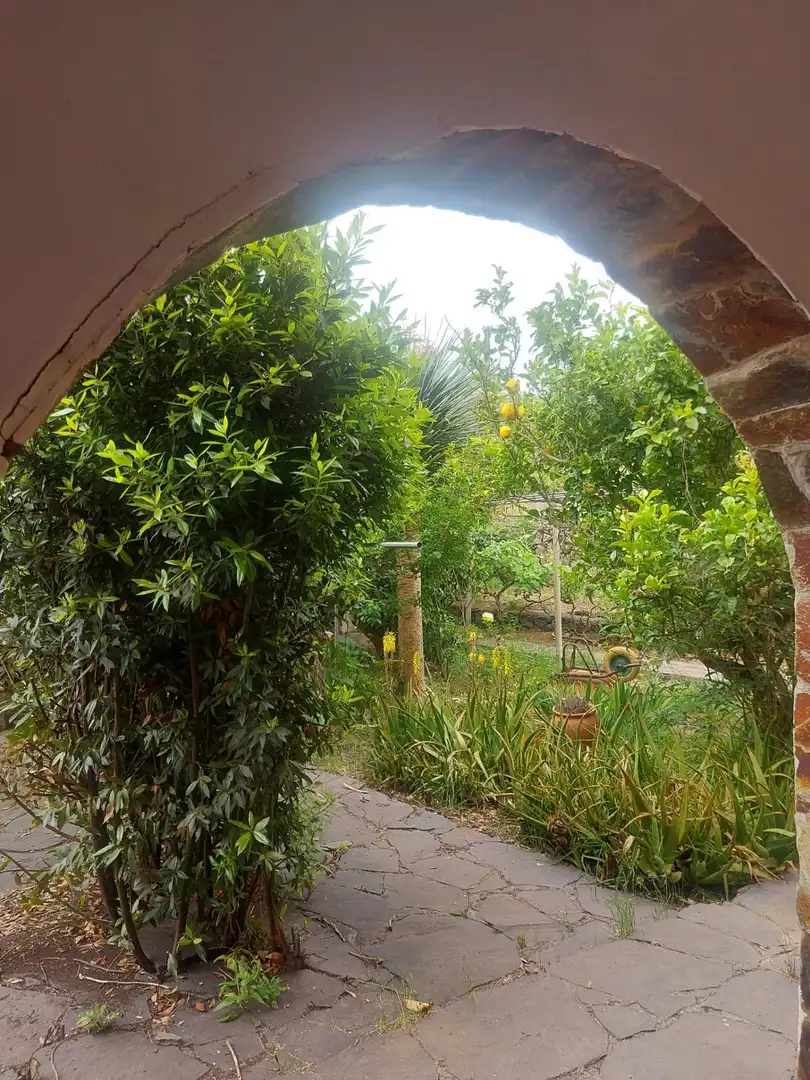 Jardín de Finca rústica en venta en El Rosario con Jardín privado, Terraza y Alarma