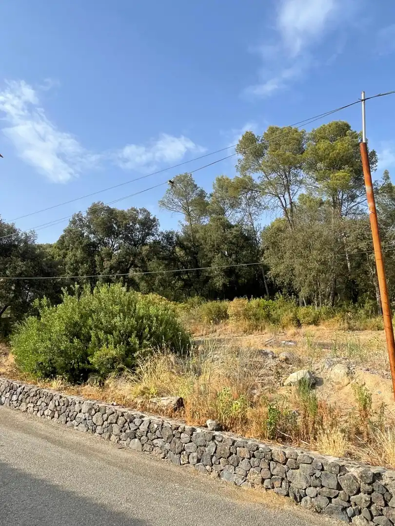 Terreny residencial en venda a Sant Martí de Llémena, imagen 13