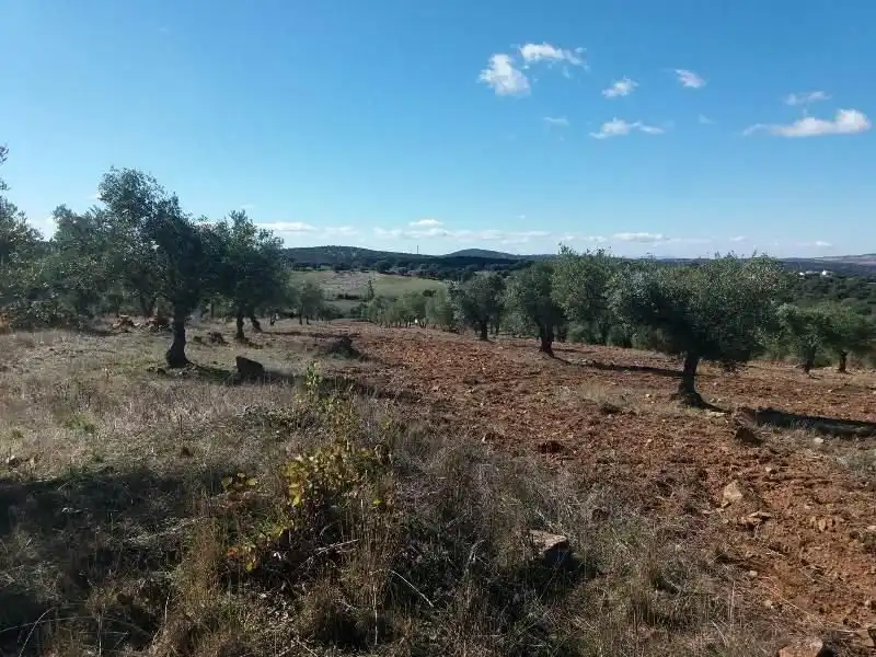 Residential land for sale in Fuente Obejuna, imagen 8