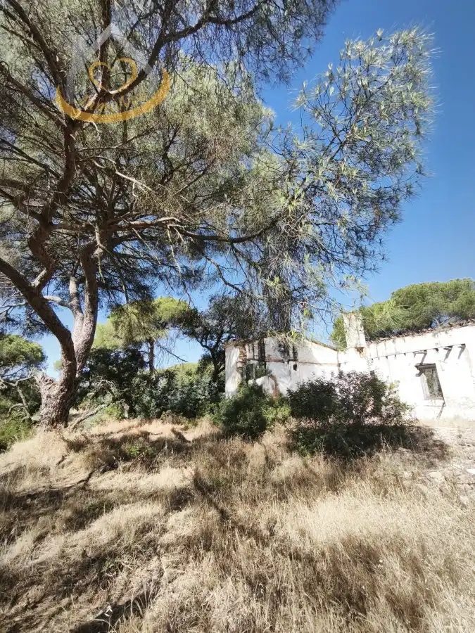 Terreni e lotti in vendita a Moguer, imagen 12