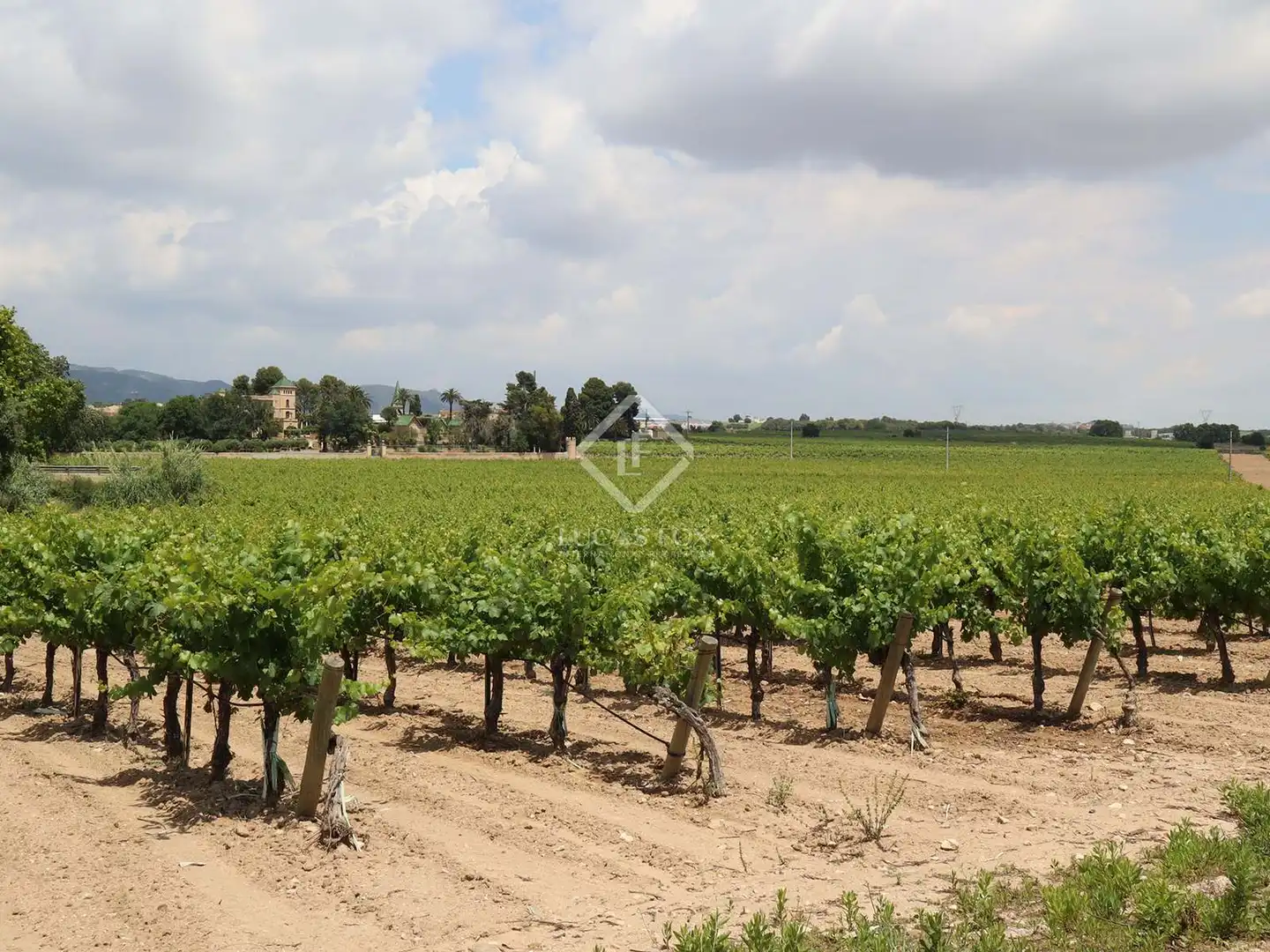 Finca rústica en venta en Banyeres del Penedès con Jardín privado, Terraza y Piscina