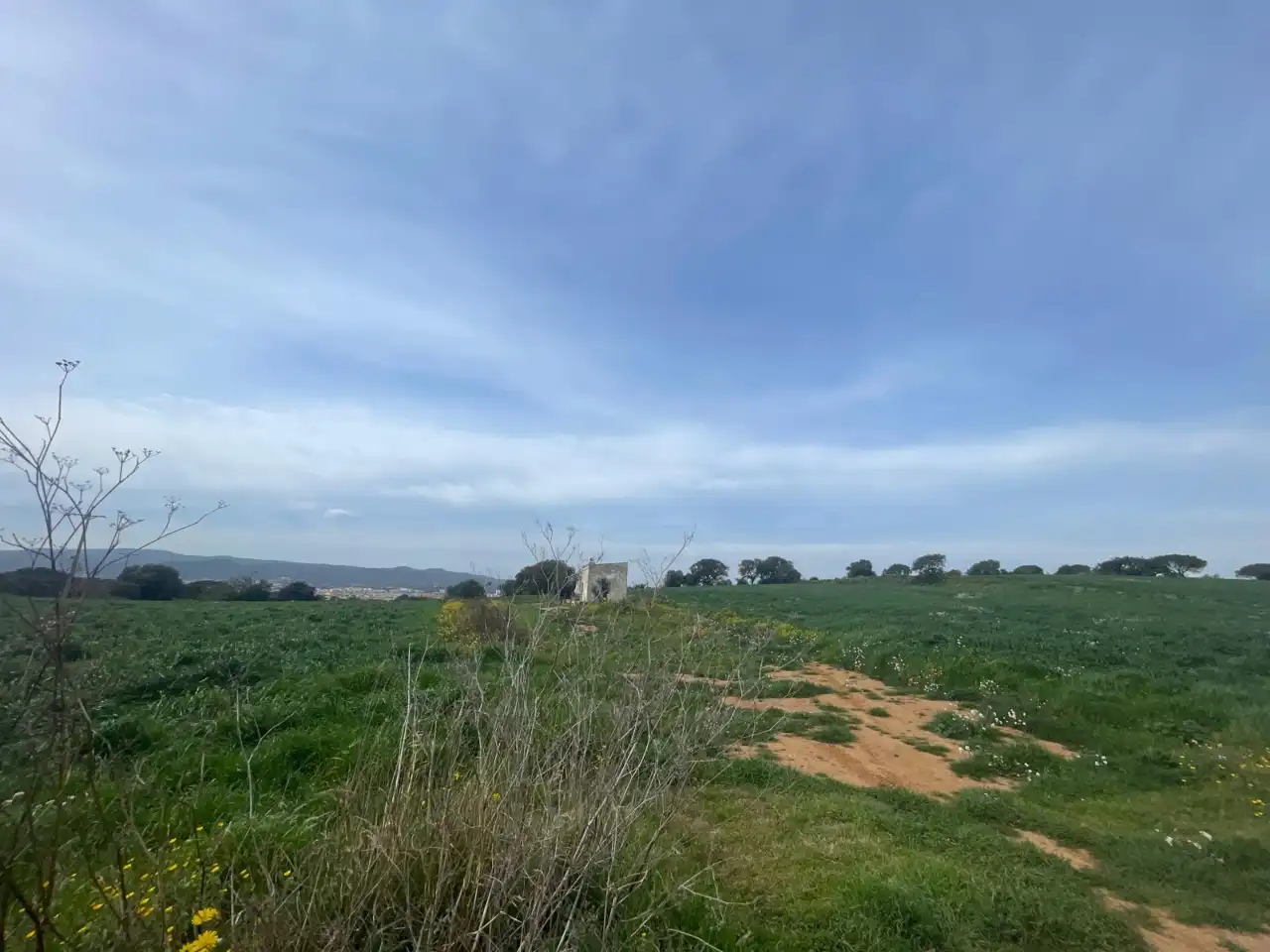 Terreny rústic en venda a Camí de la Portalada