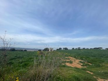 Terreny rústic en venda a Camí de la Portalada