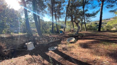 Foto 2 de Finca rústica en venda a Calvià pueblo, Calvià