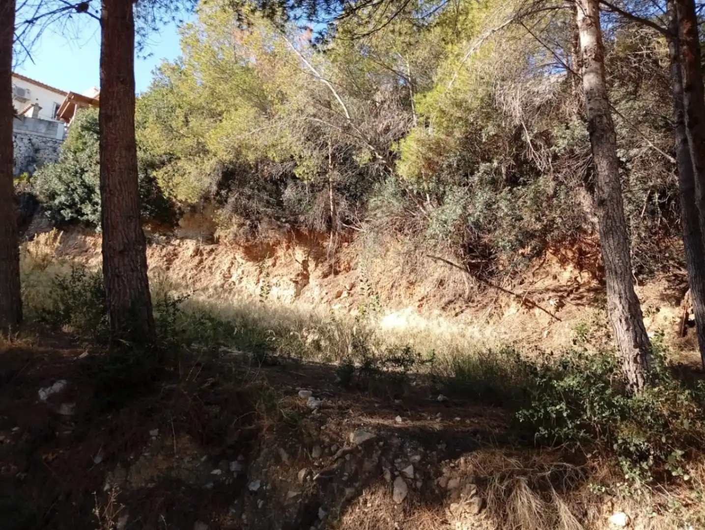 Lands and plots for sale in Zona Pueblo