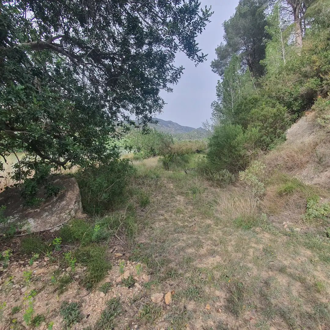 Terreno rústico en venta en Benifallet, imagen 14