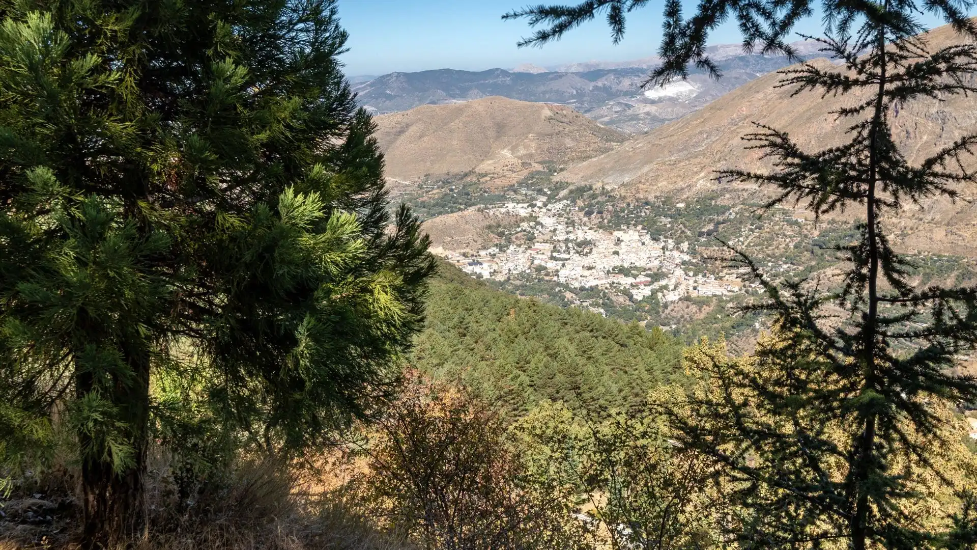 Vista exterior de Finca rústica en venta en Güéjar Sierra con Jardín privado y Amueblado