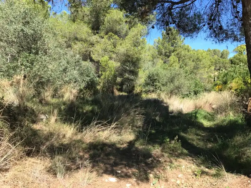 Terreno rústico en venta en Carrer Ametler, imagen 22