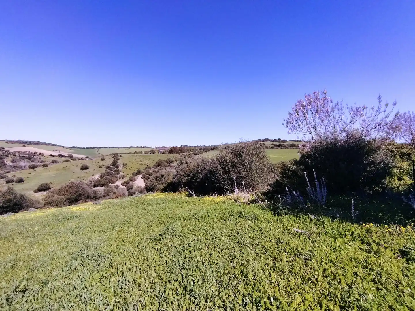 Terreni e lotti in vendita a Vejer, imagen 24
