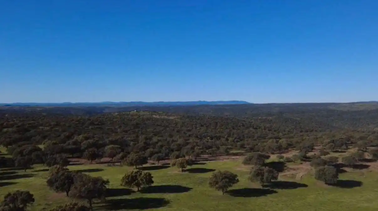 Terreny rústic en venda a Alcántara, imagen 3