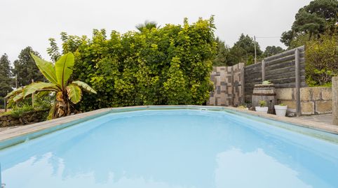Foto 5 de Finca rústica en venta en La Vega - El Amparo - Cueva del Viento, Icod de los Vinos