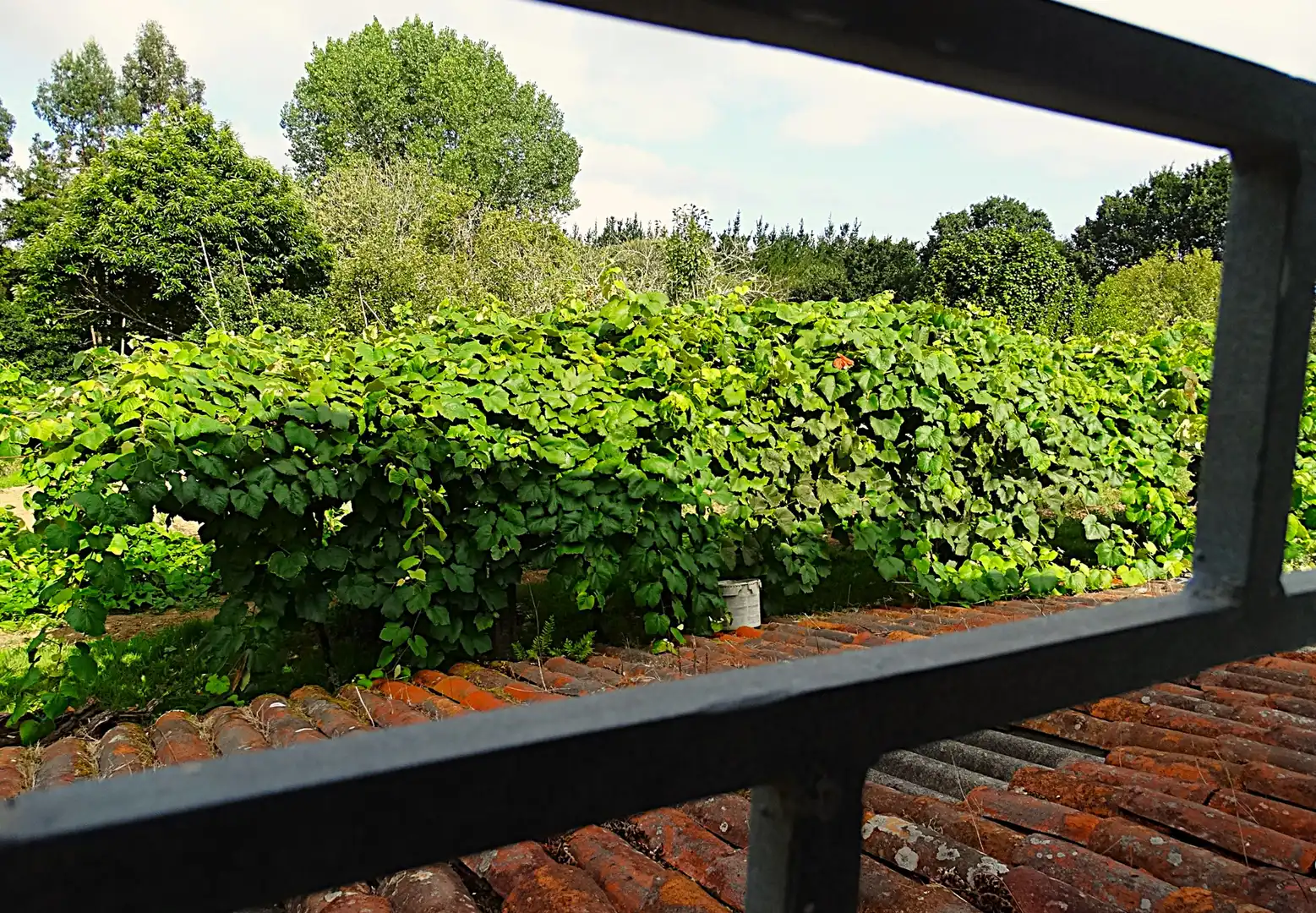 Jardí de Finca rústica en venda en Narón amb Calefacció, Jardí privat i Parquet