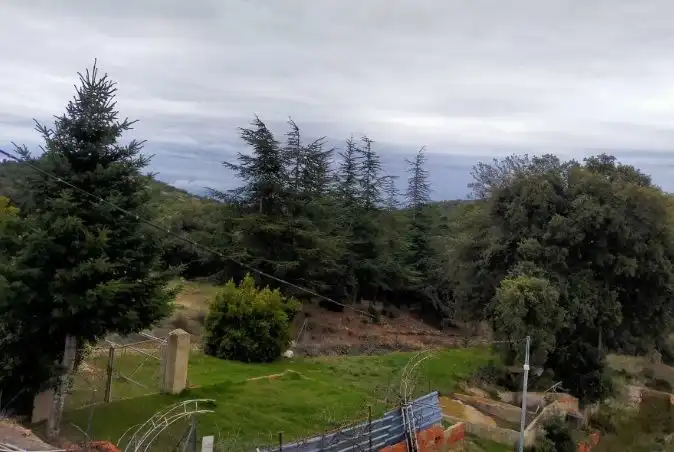 Jardí de Finca rústica en venda en Castellón de la Plana / Castelló de la Plana