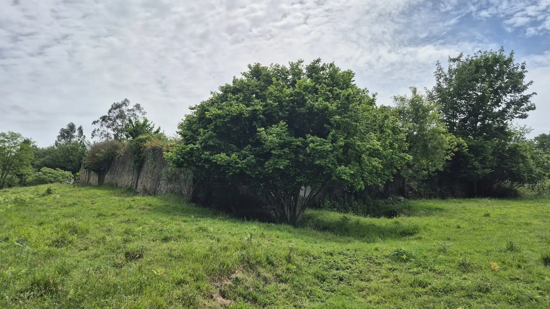 Maison avec jardin à vendre à Parroquias Sur - La Manjoya, imagen 11