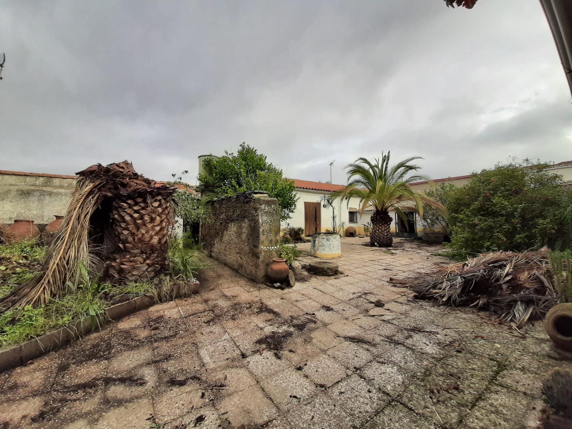 Vista exterior de Casa o xalet en venda en Botija amb Terrassa