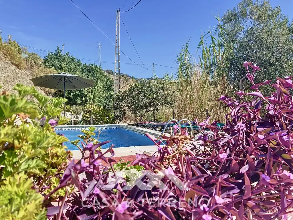 Houses for sale in Camino de Cuesta Bravo, Sedella