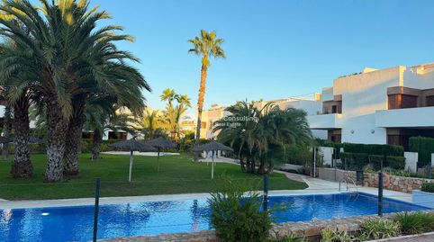en La Zenia, imatge 2