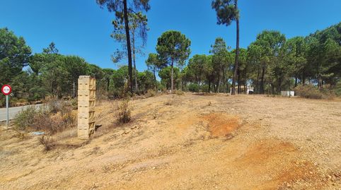 FINCA RUSTICA BEAS, immagine 3