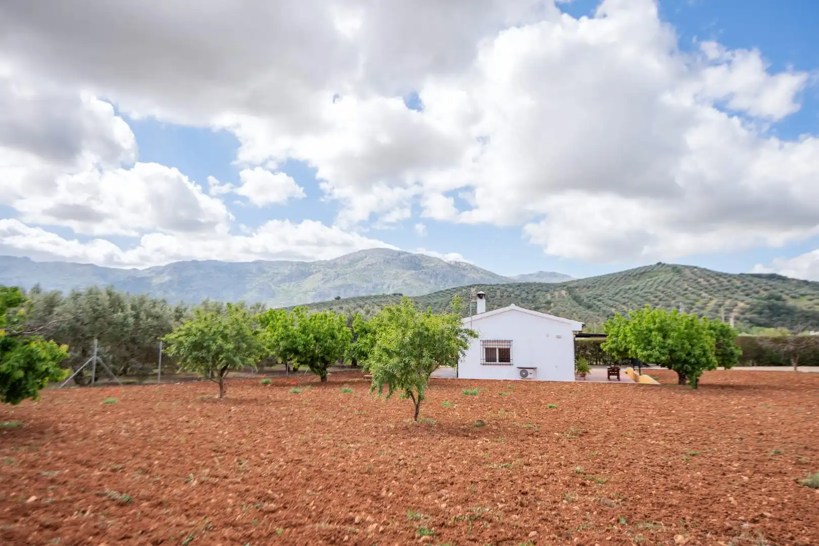 Maison avec jardin à vendre à Villanueva del Rosario, imagen 49