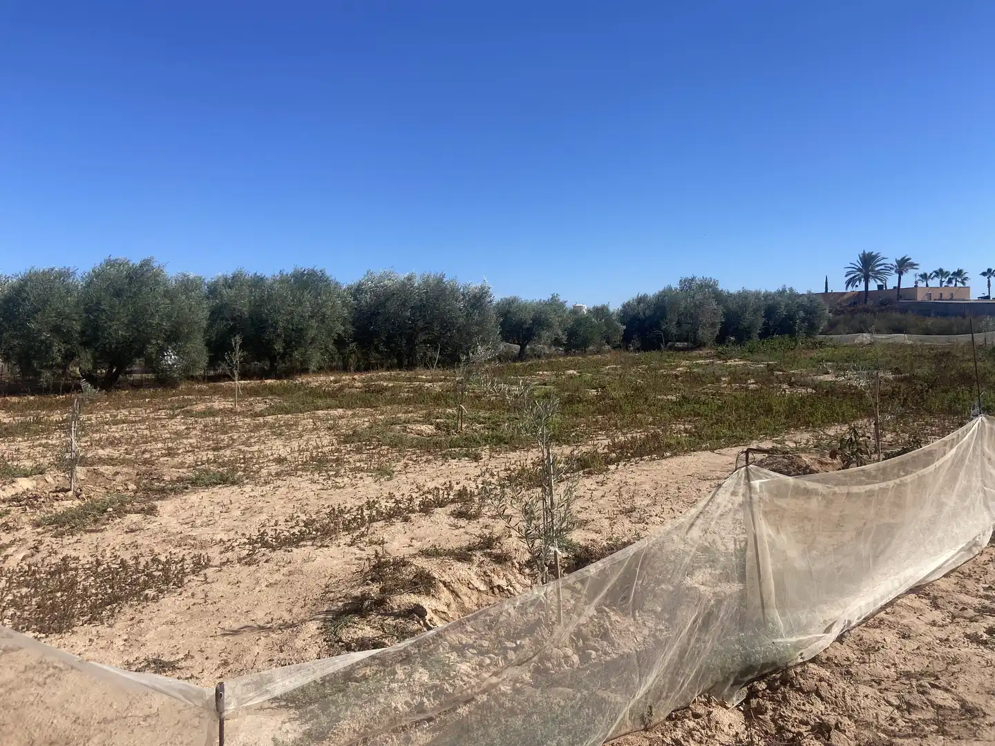 Land for sale in Cartagena