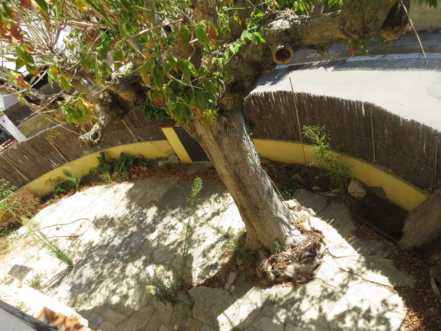 Garden of Houses for rent in Sant Andreu de Llavaneres  with Heating, Private garden and Parquet flooring