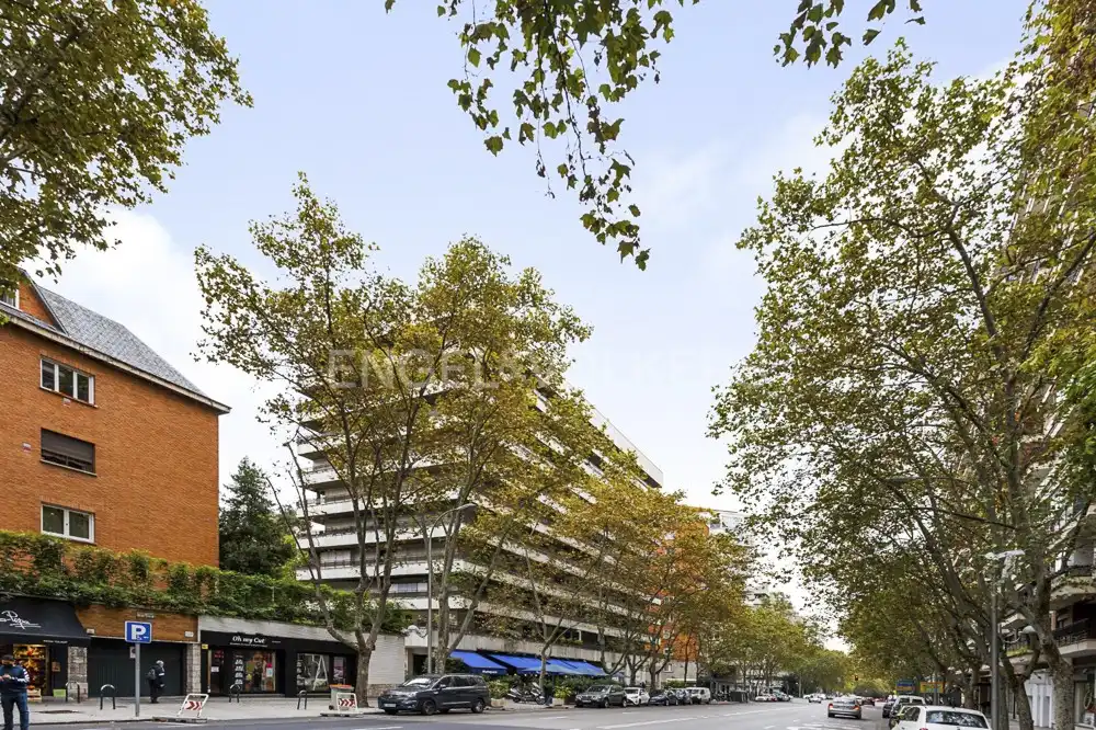 Appartamento con ascensore in vendita a Calle del General Pardiñas, imagen 37